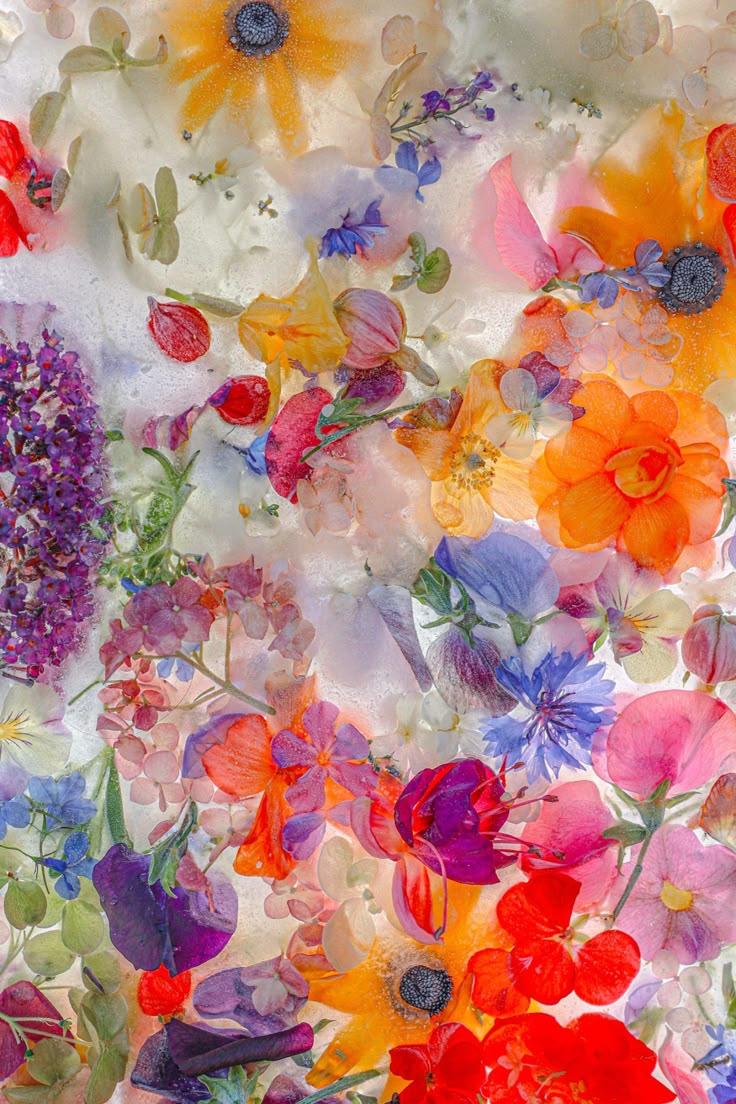 Secret Garden Blossom Symphony